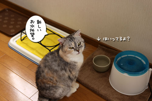 電源ON!_d0355333_19093659.jpg