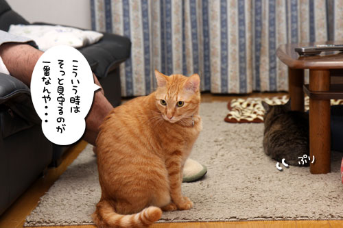 リビングデビューは、ほろ苦く。_d0355333_19094490.jpg