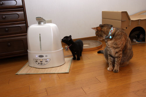 ちゃとらん流ちびっこ歓迎方法_d0355333_19094531.jpg