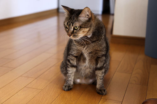 ここから50%に。_d0355333_19094761.jpg
