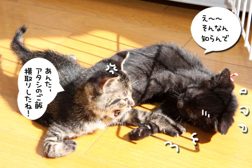 ここから50%に。_d0355333_19094824.jpg