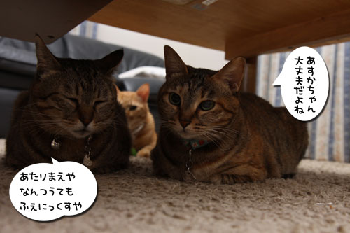 足踏み状態でも。_d0355333_19095801.jpg