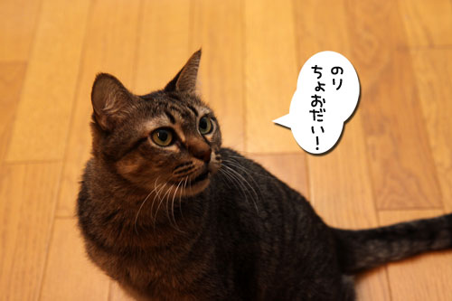 ここから始まる、二度目の闘い。_d0355333_19095941.jpg