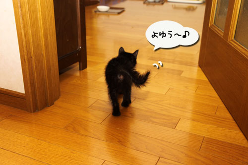 階段上手は誰?_d0355333_19100034.jpg