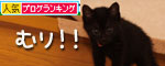 階段上手は誰?_d0355333_19100206.jpg