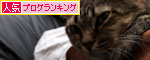 普通の日々_d0355333_19100638.jpg