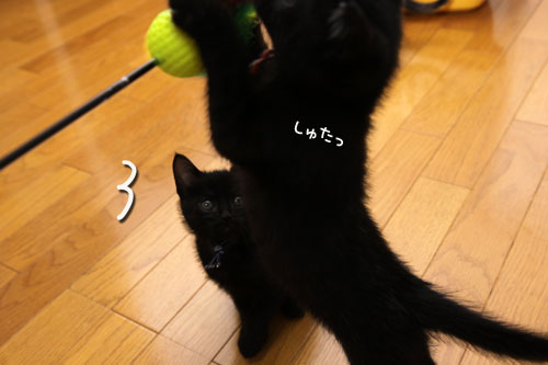 おもちゃにドキドキ_d0355333_19100722.jpg