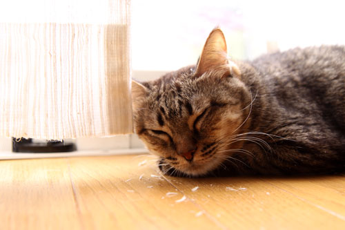 気持ちよく眠れる理由。_d0355333_19101081.jpg