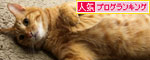 もふもふ地帯に突入せよ!_d0355333_19101116.jpg