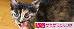 ちびっこたちの絆_d0355333_19101846.jpg