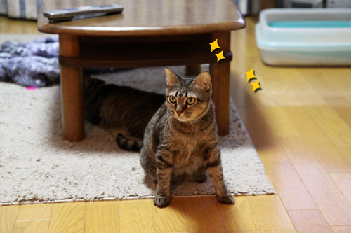 おにおにタイムにまっしぐら!_d0355333_19102219.jpg