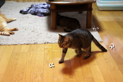 おにおにタイムにまっしぐら!_d0355333_19102239.jpg
