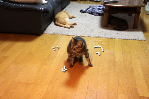 おにおにタイムにまっしぐら!_d0355333_19102312.jpg