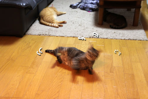 おにおにタイムにまっしぐら!_d0355333_19102352.jpg