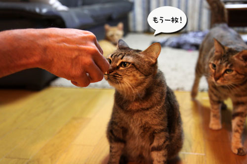 おにおにタイムにまっしぐら!_d0355333_19102472.jpg