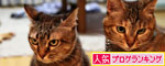おにおにタイムにまっしぐら!_d0355333_19102512.jpg