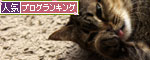 生命力に驚く_d0355333_19103113.jpg