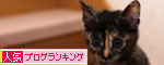 お洗濯応援隊結成!_d0355333_19103617.jpg