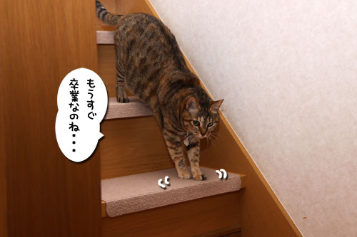 お洗濯応援隊結成!_d0355333_19103645.jpg