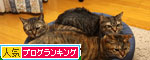 色悪ィ~ずのおケツ張り合い_d0355333_19103734.jpg