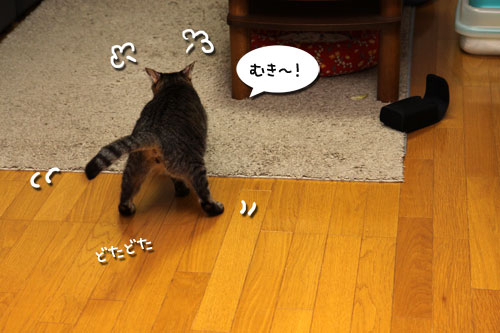 猫ソファをめぐるアホなあらそい_d0355333_19103912.jpg