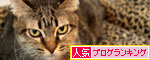 猫ソファをめぐるアホなあらそい_d0355333_19104092.jpg