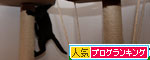 ちびっこのスピードには追いつけない_d0355333_19104300.jpg