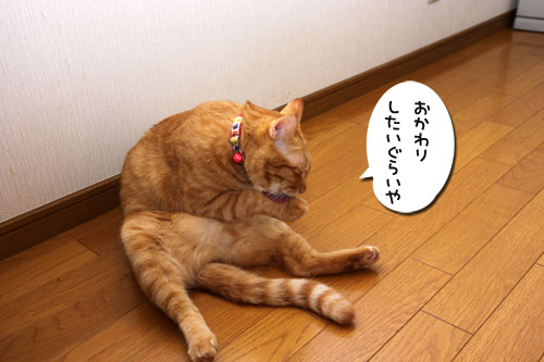 グリーンフィッシュのお味は?_d0355333_19104769.jpg