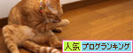 グリーンフィッシュのお味は?_d0355333_19104777.jpg