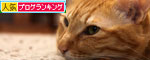 新しい名前に祝福を!_d0355333_19105226.jpg