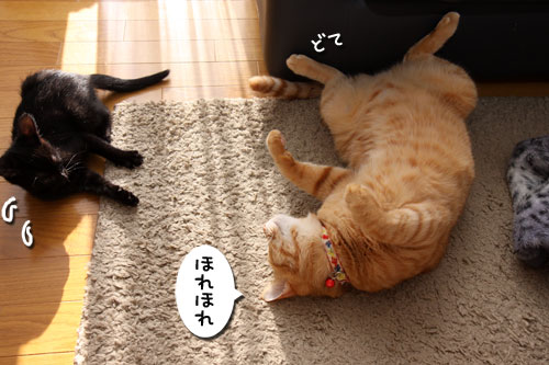 やんちゃ心に火をつけろ!_d0355333_19105230.jpg