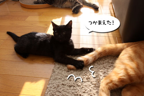 やんちゃ心に火をつけろ!_d0355333_19105252.jpg