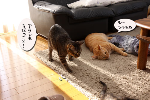 やんちゃ心に火をつけろ!_d0355333_19105263.jpg