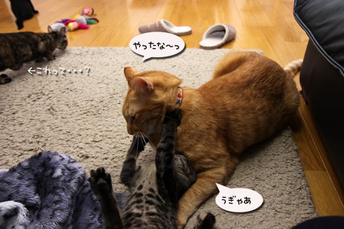 ワクチンなんて怖くない?_d0355333_19105902.jpg