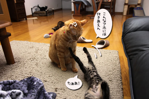 ワクチンなんて怖くない?_d0355333_19105930.jpg