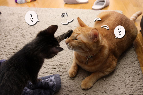 ワクチンなんて怖くない?_d0355333_19105981.jpg