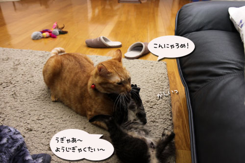 ワクチンなんて怖くない?_d0355333_19110000.jpg