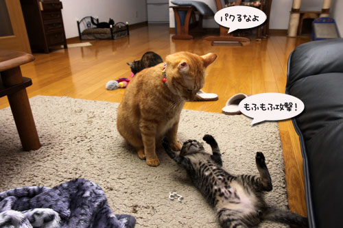 ワクチンなんて怖くない?_d0355333_19110002.jpg