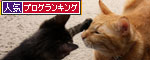 週末特別便★キャットタワーで遊ぼう　その2_d0355333_19110012.jpg