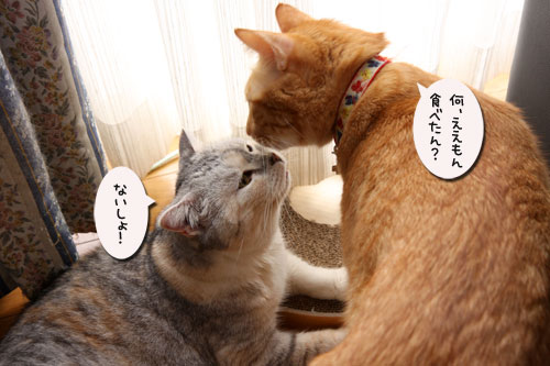 お薬がオヤツになる時_d0355333_19110360.jpg
