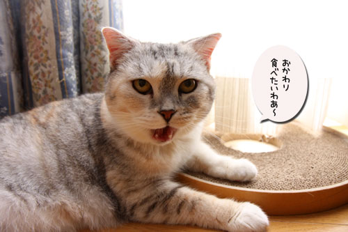 お薬がオヤツになる時_d0355333_19110372.jpg