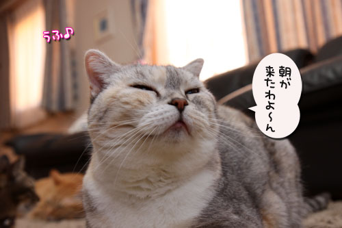 何かが来る!_d0355333_19111482.jpg