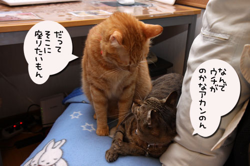策士は誰だ!_d0355333_19111523.jpg