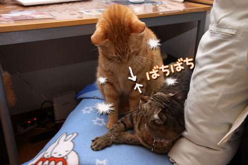 策士は誰だ!_d0355333_19111578.jpg