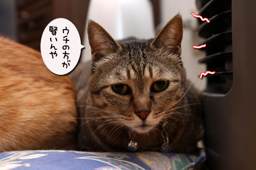 策士は誰だ!_d0355333_19111601.jpg