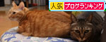 策士は誰だ!_d0355333_19111633.jpg