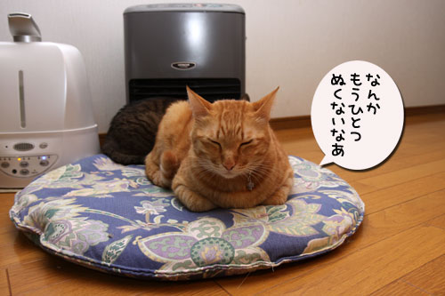 策士は誰だ!_d0355333_19111645.jpg