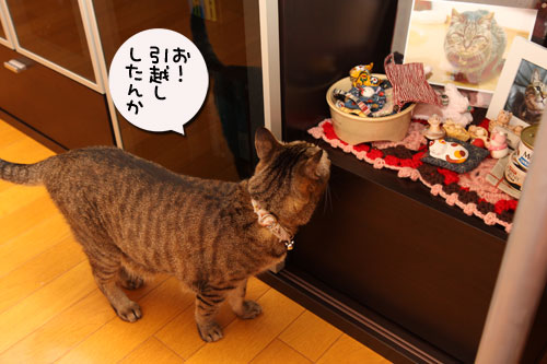 新しい人気スポット_d0355333_19112004.jpg