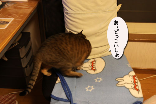 新しい人気スポット_d0355333_19112139.jpg