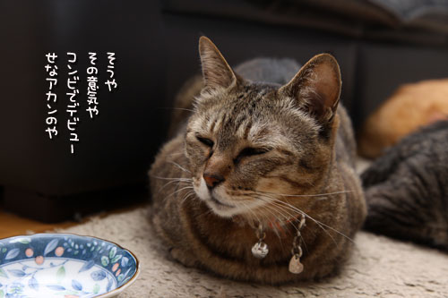 ふたりの夢?_d0355333_19112315.jpg
